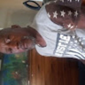 Meet your Posher, Neal